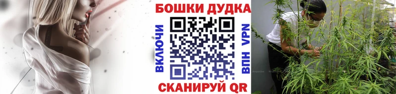 Виды наркотиков купить Духовщина COCAIN  APVP  ГАШИШ  Меф мяу мяу 