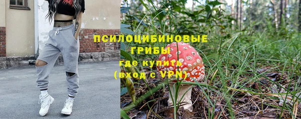 прущая мука Абаза