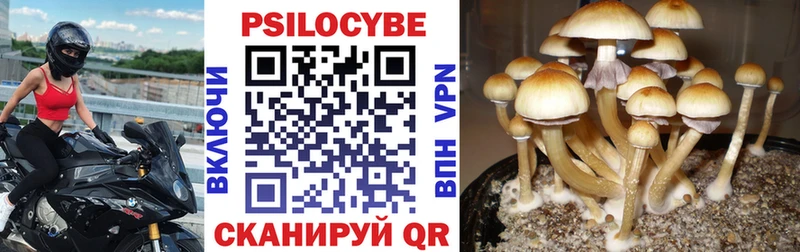 Галлюциногенные грибы ЛСД Духовщина